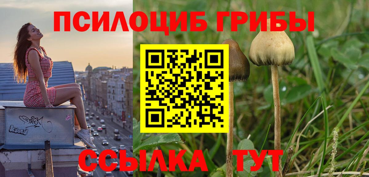 Галлюциногенные грибы мухоморы Туймазы